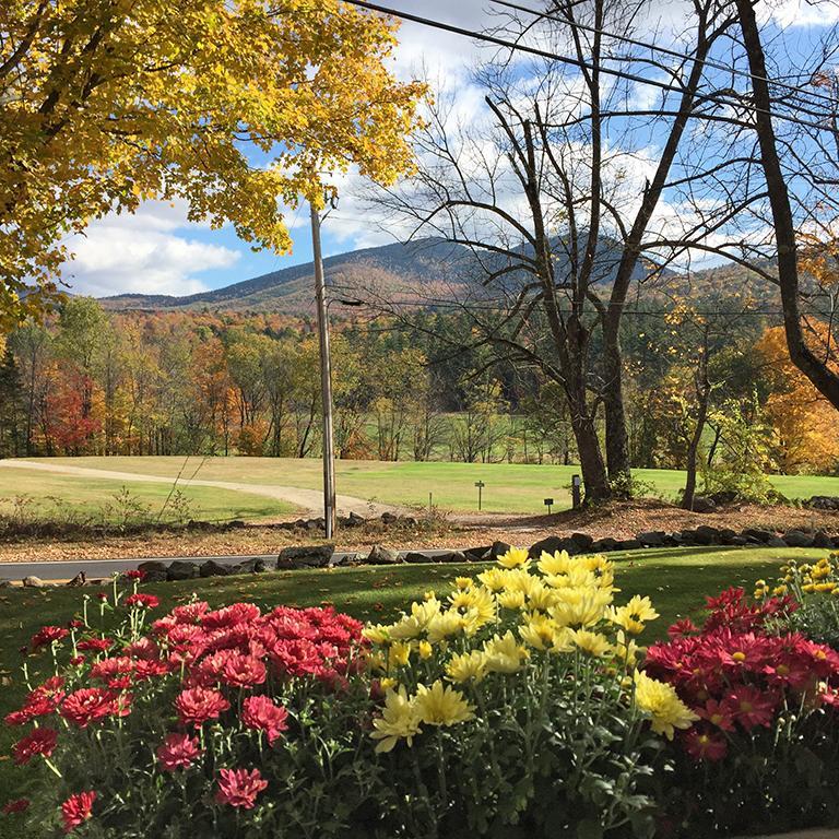 Carter Notch Inn Jackson Esterno foto